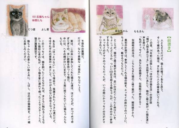 ペットブームの一方で急増する飼育放棄、ロードキル　141匹の犬猫が参加、小さな命の大切さを伝える絵本エッセイ出版