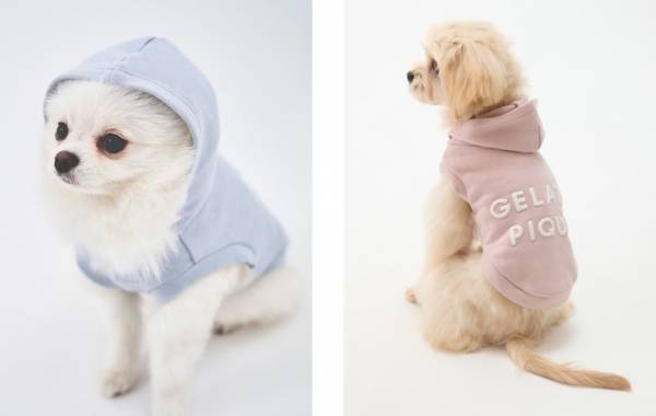 “ジェラート ピケ”で愛するペットとお揃いウェア！Caluluにて「GELATO PIQUE CAT&DOG」の新商品を販売開始！
