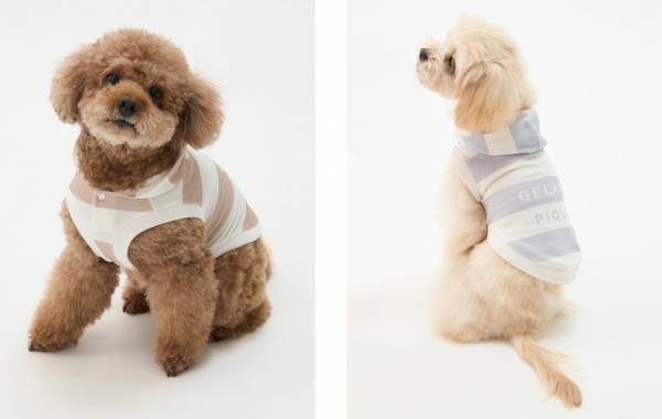 “ジェラート ピケ”で愛するペットとお揃いウェア！Caluluにて「GELATO PIQUE CAT&DOG」の新商品を販売開始！