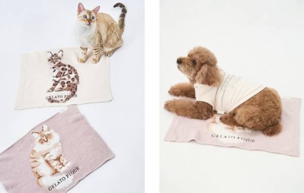 “ジェラート ピケ”で愛するペットとお揃いウェア！Caluluにて「GELATO PIQUE CAT&DOG」の新商品を販売開始！