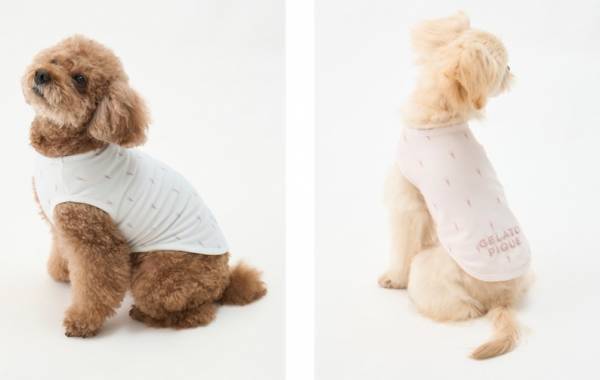“ジェラート ピケ”で愛するペットとお揃いウェア！Caluluにて「GELATO PIQUE CAT&DOG」の新商品を販売開始！