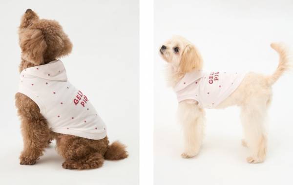“ジェラート ピケ”で愛するペットとお揃いウェア！Caluluにて「GELATO PIQUE CAT&DOG」の新商品を販売開始！