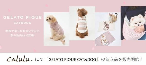 “ジェラート ピケ”で愛するペットとお揃いウェア！Caluluにて「GELATO PIQUE CAT&amp;DOG」の新商品を販売開始！