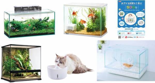 ペット用品メーカー「ジェックス」は、第56回グッドカンパニー大賞「優秀企業賞」を受賞　～いきものとの暮らしで人も地球も豊かに～