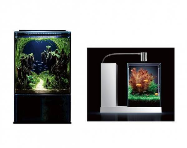 ペット用品メーカー「ジェックス」は、第56回グッドカンパニー大賞「優秀企業賞」を受賞　～いきものとの暮らしで人も地球も豊かに～