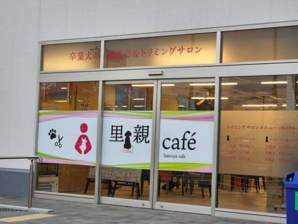 繁殖引退犬の“第2の犬生”をサポートする「里親Cafe」　1月30日にクラウドファンディングを開始