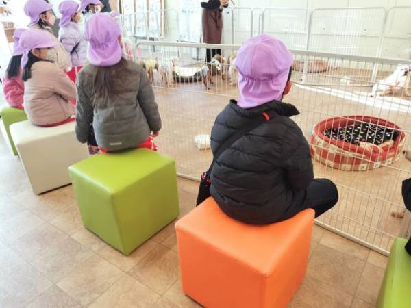 繁殖引退犬の“第2の犬生”をサポートする「里親Cafe」　1月30日にクラウドファンディングを開始