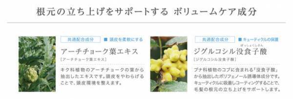 “しなやかに 弾む 美しさをデザインする”シャンプー・トリートメント・ミストの新製品「コタエイジング バウンスアップ」が2023年5月10日発売！