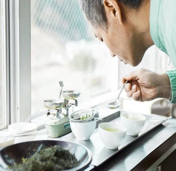 ポテトチップス・唐揚げ・ケーキが食べたい中高年世代に！「言い訳のお茶」を2月10日より販売開始　～3種類それぞれのお茶にルイボスティー・どくだみをブレンド～