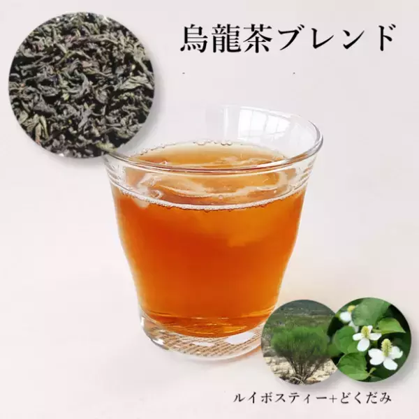 ポテトチップス・唐揚げ・ケーキが食べたい中高年世代に！「言い訳のお茶」を2月10日より販売開始　～3種類それぞれのお茶にルイボスティー・どくだみをブレンド～