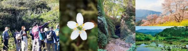 高知県出身の植物学者牧野富太郎博士ゆかりの地や草花の群生地等をめぐる「草花体感ウォーキングイベント」を開催