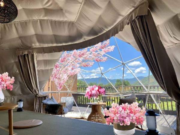 ～グランピングで、ひと足早いお花見を～日比谷花壇の“STAY”「里楽巣FUJINO」春色たっぷりの空間装飾でお客様をお迎えする『スプリングフラワーフェア』2023年2月23日（木・祝）から4月23日（日）まで開催