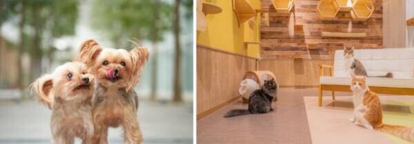 ブリーディングを卒業した犬・猫とのマッチング専門店「パートナープラス八事店」愛知県名古屋市に3月1日(水)オープン