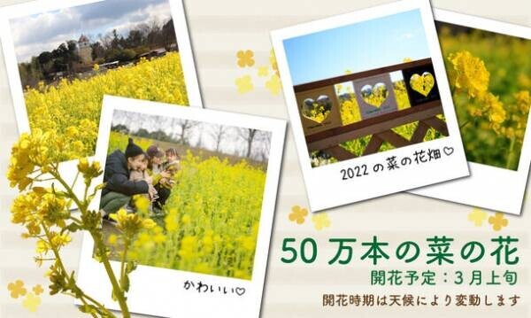 西日本初！エアストリームを使用したサウナ“SAUNA NEW HARVEST”が4月2日までの土・日・祝で開催
