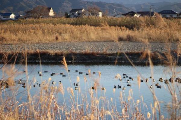 俳人 神野紗希さん参加！！『松山は本当に「ことばのまち」なのか？』座談会開催。愛媛・松山市の魅力を“note”で情報発信する。第六回のテーマは「ことば」。2月10日(金)13時掲載スタート
