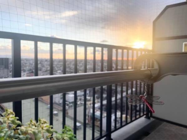 殺虫剤・忌避剤不使用　累計販売実績 50万個を突破した『おにやんま君』の妹『あかねちゃん』先行発売がもうすぐ終了