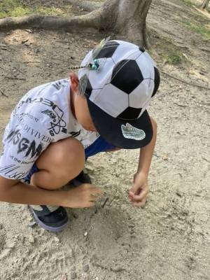 殺虫剤・忌避剤不使用　累計販売実績 50万個を突破した『おにやんま君』の妹『あかねちゃん』先行発売がもうすぐ終了