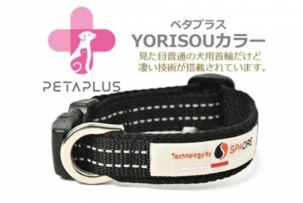 シニア犬・老犬の健康、歩容をサポートする機能性犬用首輪　『ペタプラス YORISOUカラー』4月12日より販売開始！
