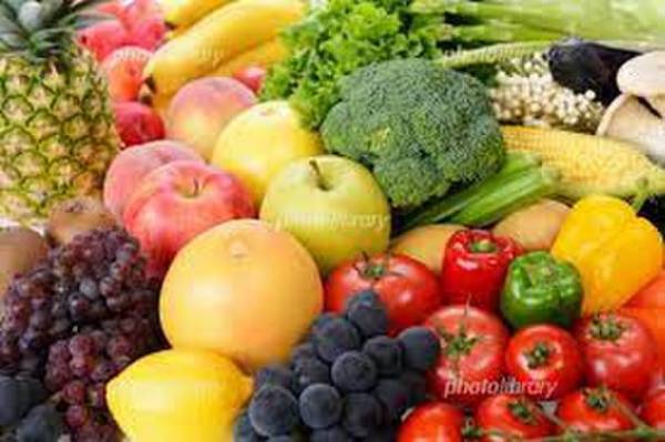 21種類の自然素材から自分で作る「ペプチド酵素づくり」福岡教室にて開催