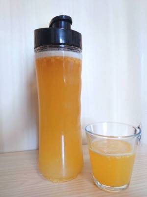 21種類の自然素材から自分で作る「ペプチド酵素づくり」福岡教室にて開催