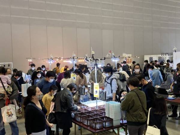 ワンコインから本物の天然宝石を販売する展示会を行う宝石ルースショップ「東洋ルース」年間宝石販売数20万点突破！