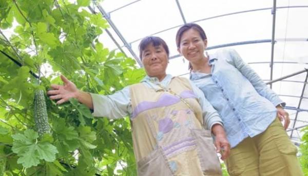 今だからこそ地域にフォーカスを！名護の作り手のイイモノを届ける地域商社型ECサイト、「ナゴま～と」がOPEN