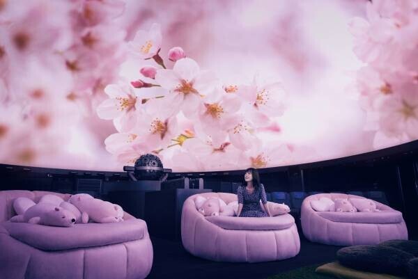 撮影OK！プラネタリウムでお花見気分「桜ウェルカムドーム」3月1日スタート！