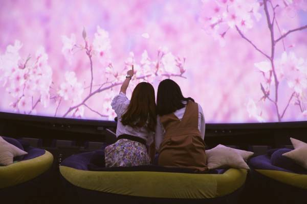 撮影OK！プラネタリウムでお花見気分「桜ウェルカムドーム」3月1日スタート！