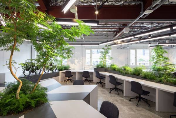 バイオフィリックデザインソリューション『COMORE BIZ』、映像×音×光による空間演出『BSP-LAB』の自然と共生する空間を創出したショールーム見学ツアー開催