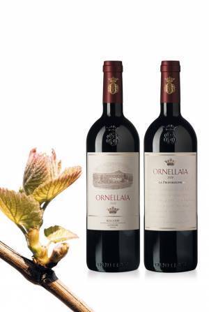 イタリアが誇る銘醸ワイン「オルネッライア」の最新ヴィンテージ2020＆アートボトルがサザビーズオークションで競売に(9月7日～21日開催予定)　“ワインと芸術の融合”テーマは『LA PROPORZIONE(調和)』