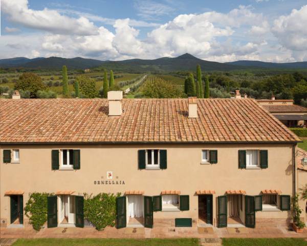 イタリアが誇る銘醸ワイン「オルネッライア」の最新ヴィンテージ2020＆アートボトルがサザビーズオークションで競売に(9月7日～21日開催予定)　“ワインと芸術の融合”テーマは『LA PROPORZIONE(調和)』