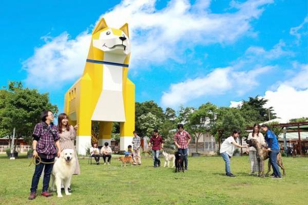 約1,000本もの梅が咲き誇る「第50回筑波山梅まつり」2月18日(土)～3月19日(日)に開催