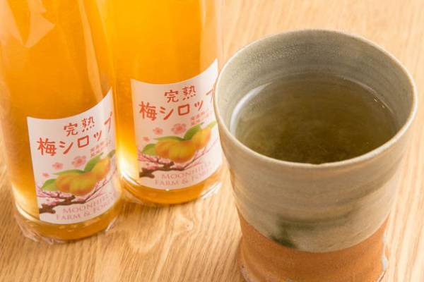 約1,000本もの梅が咲き誇る「第50回筑波山梅まつり」2月18日(土)～3月19日(日)に開催