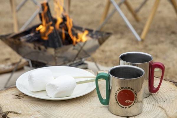 約1,000本もの梅が咲き誇る「第50回筑波山梅まつり」2月18日(土)～3月19日(日)に開催