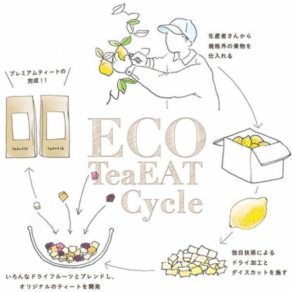 サステナブルなお茶で食品ロス削減！食べられるお茶を販売するティートリコが「ティート 信州 蜜りんご」を2月15日より数量限定販売