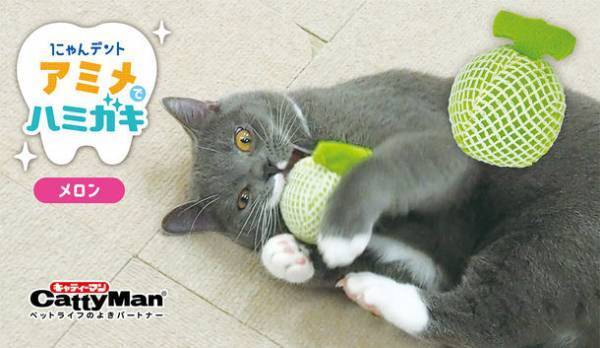 歯みがきが苦手な猫ちゃんのための歯みがきおもちゃ『にゃんデント アミメでハミガキ』を2月20日に発売