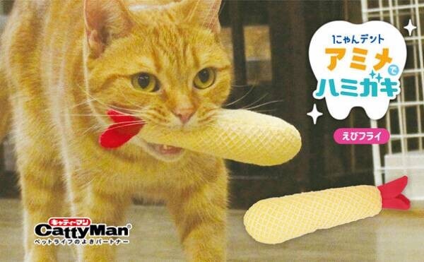 歯みがきが苦手な猫ちゃんのための歯みがきおもちゃ『にゃんデント アミメでハミガキ』を2月20日に発売