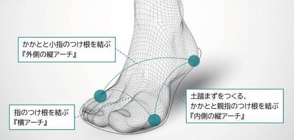 唯一無二の履き心地《ｍetaインソール》今春より発売