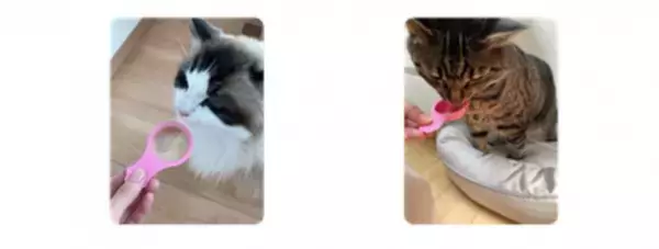 『銀のスプーン 三ツ星グルメ』にゃんSpoon“無添加※タイプ”を新発売