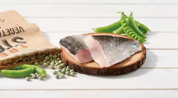 筋肉量が衰え始めるシニア犬向けドッグフードの新商品！高たんぱく＆低脂質の「ハイプロテインレシピ リガロ」から“ホワイトフィッシュ 7歳以上用”が3月15日(水)発売