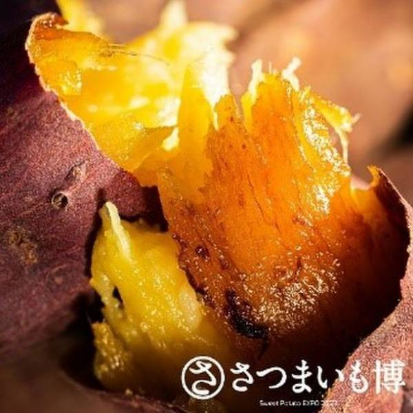 日本最大級のサツマイモイベント「さつまいも博2023」など開催！「春のけやき彩2023」2月22日からけやきひろばで開催　チョークアートや走り方教室＆測定会、ジャズ演奏、エアー遊具など充実の3週末