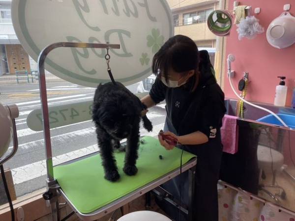 ペットサロンでのグルーミングのあらゆるシーンで使えるすべり止めマット「リラグルーミングマット」新発売