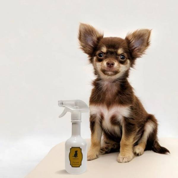 サブスクモール「サブミー」ママ層をターゲットとした新規ブランドを続々拡充　家族で使える健康茶やアンチエイジングまで幅広いニーズ高まる