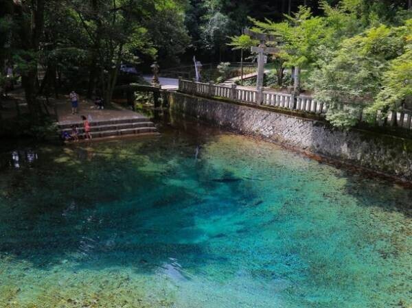 山口県美祢市の「秋吉台」の魅力をサイクリングで堪能！イベント『みねすとろん 2023』が3月19日に開催