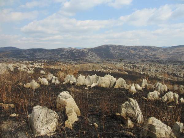 山口県美祢市の「秋吉台」の魅力をサイクリングで堪能！イベント『みねすとろん 2023』が3月19日に開催
