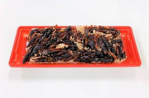 新潟発　栄養豊富で注目の“昆虫食”がお寿司に！新商品「175Sushi(イナゴスシ)」が2月24日(金)発売