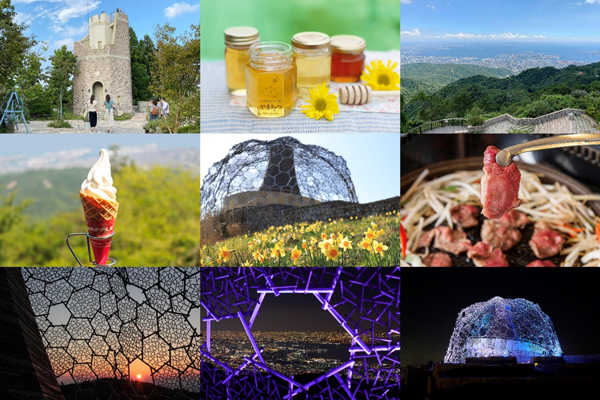 20th Anniversary 六甲ガーデンテラス「シダレミュージアム」開催決定！