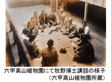 イベントタイトル決定！ 六甲山ボタニカルフェア六甲高山植物園×ROKKO森の音ミュージアム合同開催