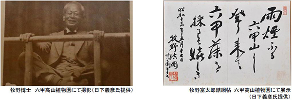 イベントタイトル決定！ 六甲山ボタニカルフェア六甲高山植物園×ROKKO森の音ミュージアム合同開催