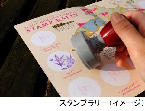 イベントタイトル決定！ 六甲山ボタニカルフェア六甲高山植物園×ROKKO森の音ミュージアム合同開催